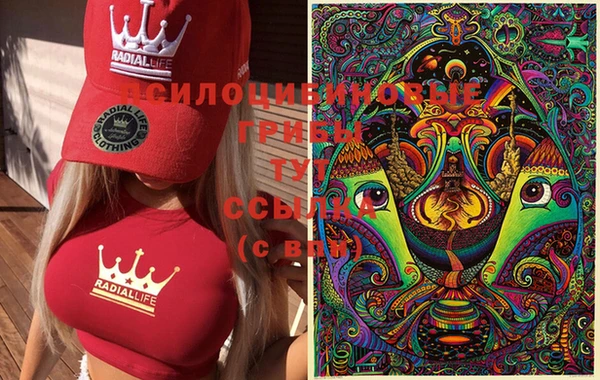 прущая мука Куйбышев