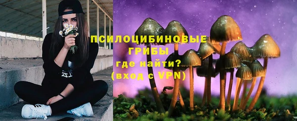 прущая мука Куйбышев