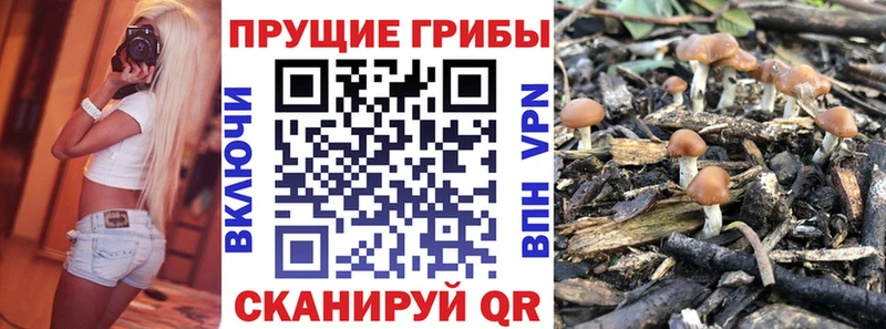 hydra ссылки  Ермолино  Псилоцибиновые грибы ЛСД  цены наркотик 